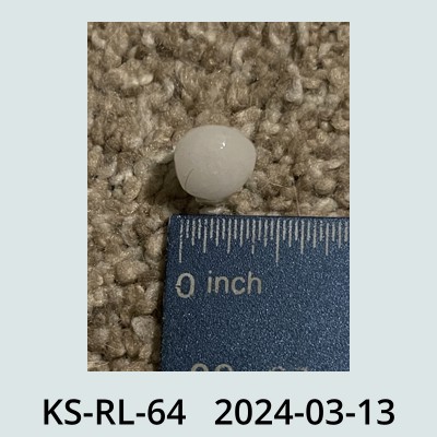 Hail Obs Photo