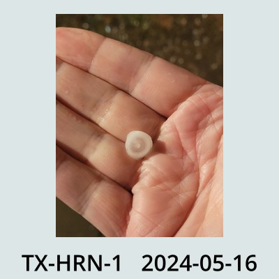Hail Obs Photo