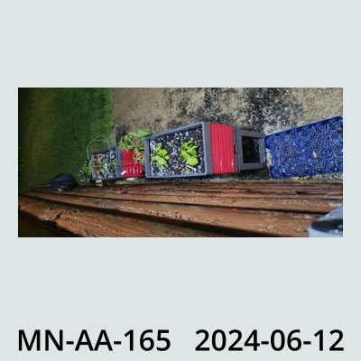 Hail Obs Photo