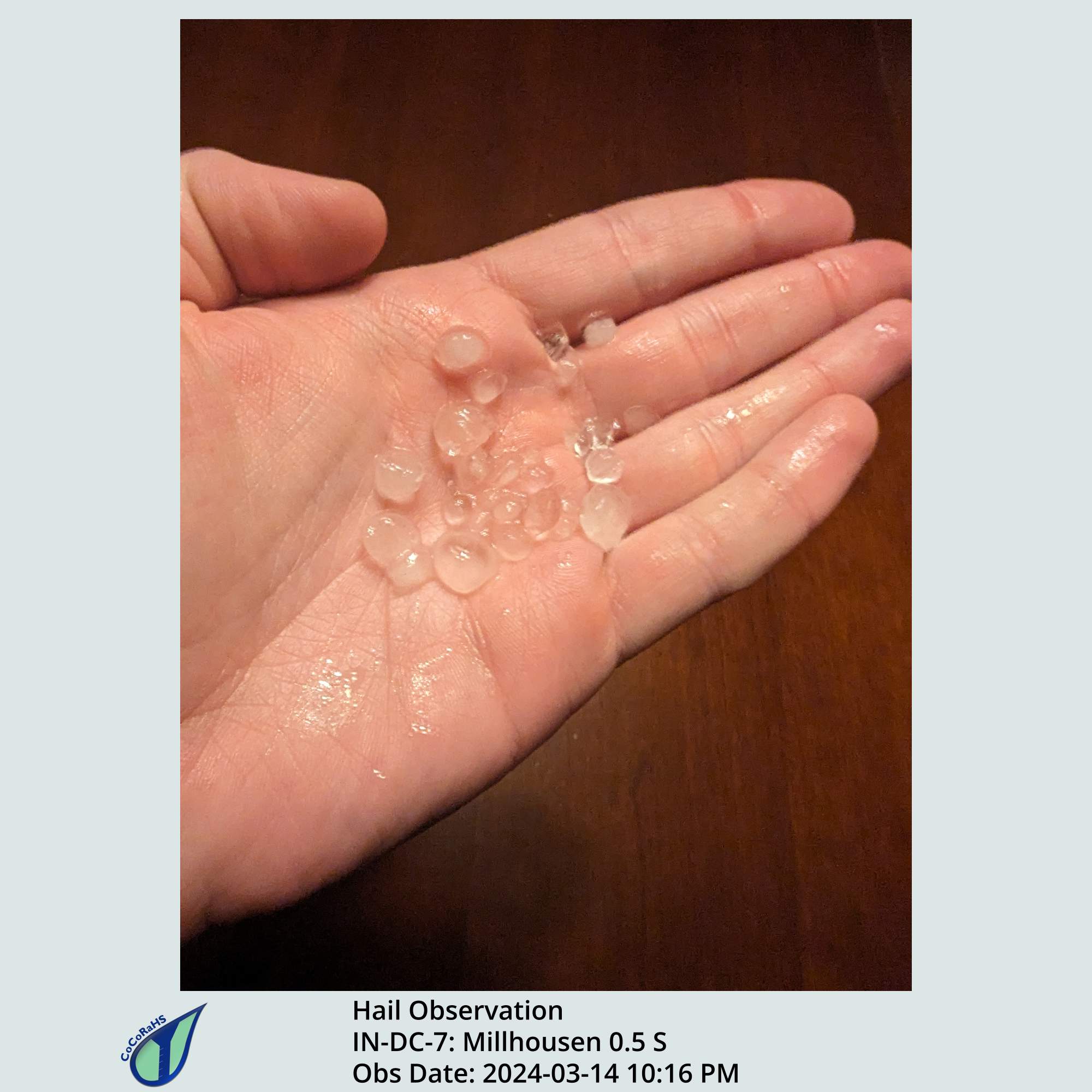 Full size version of the thumbnail.