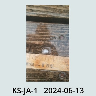 Hail Obs Photo