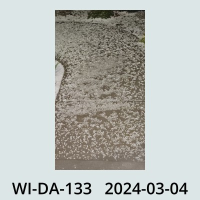 Hail Obs Photo