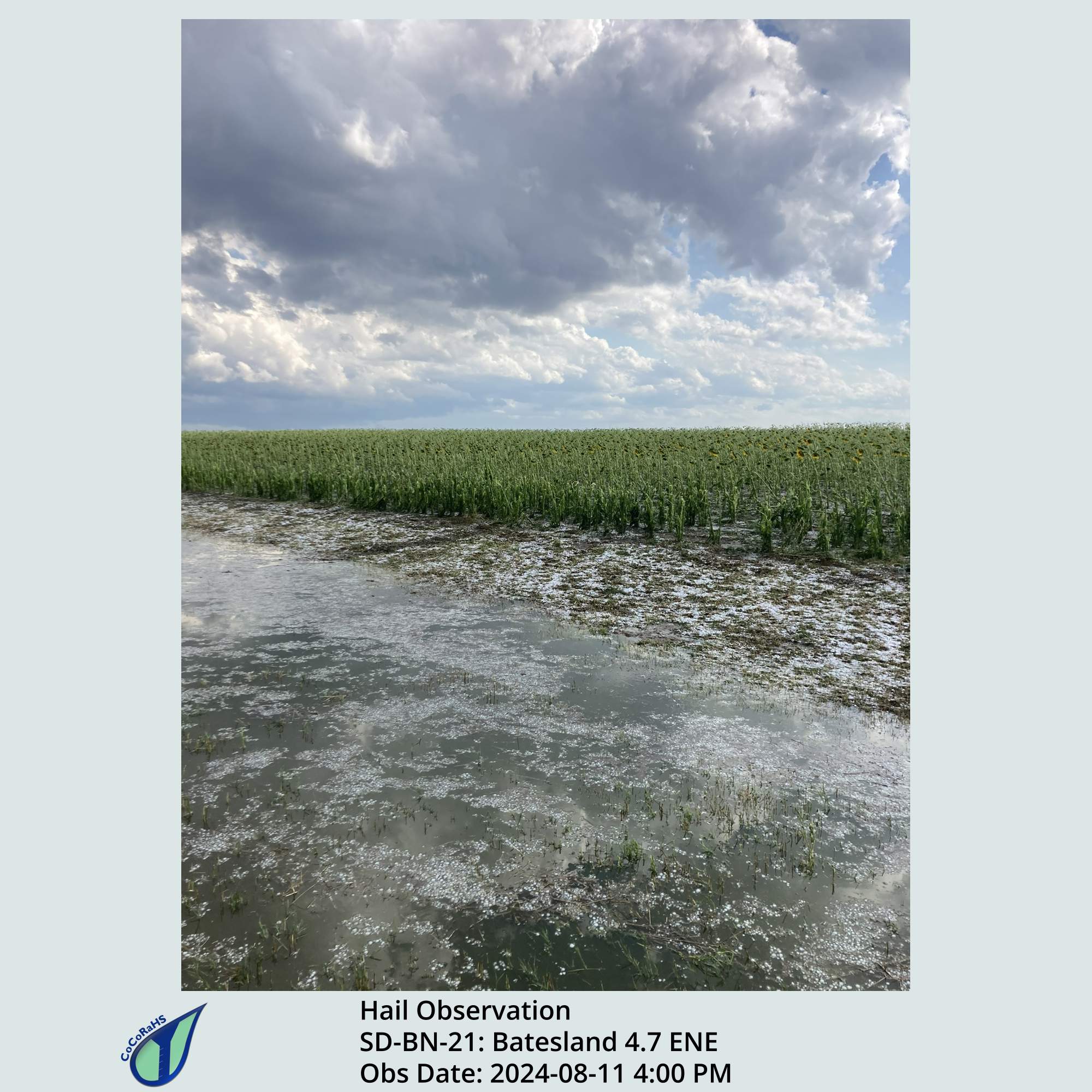 Full size version of the thumbnail.