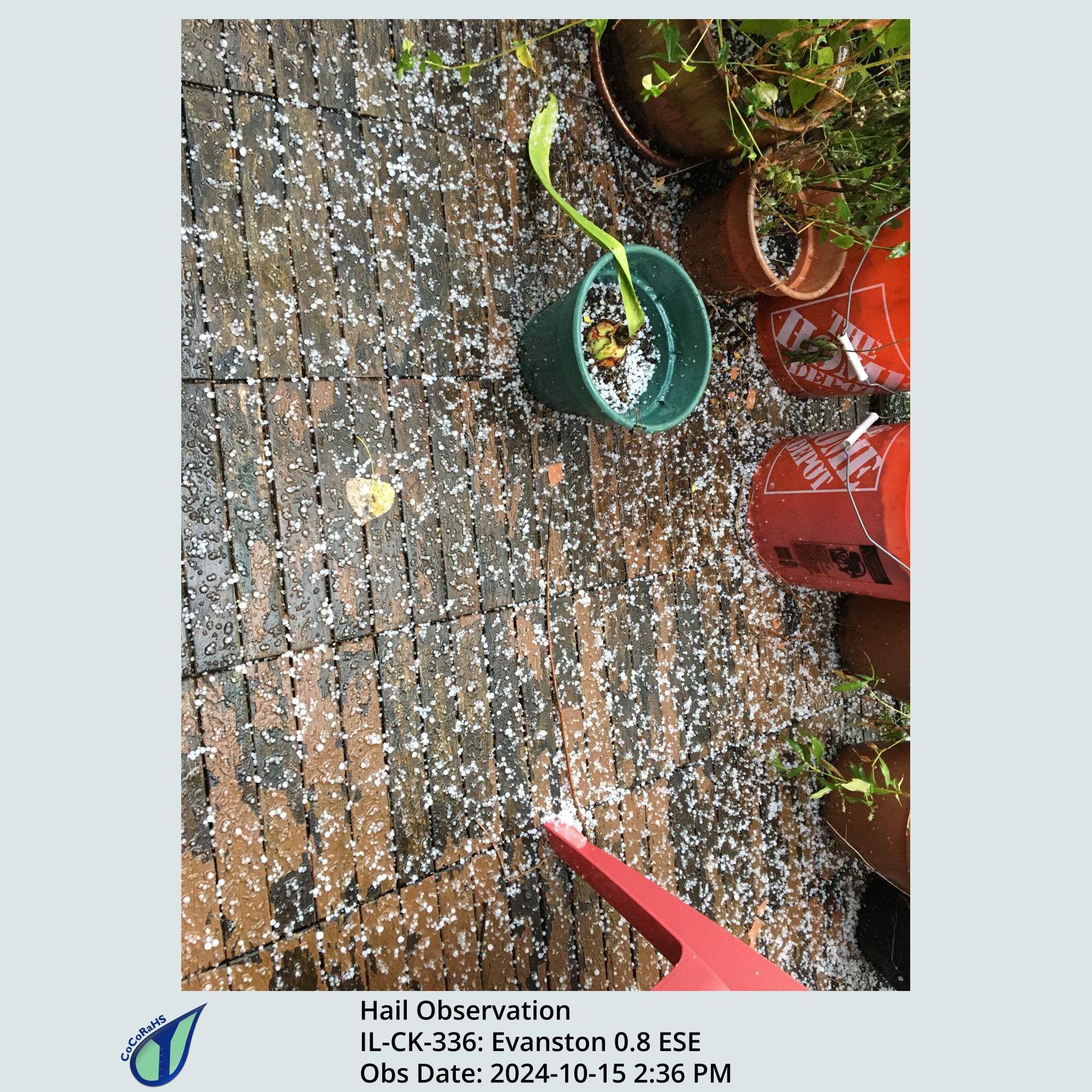 Full size version of the thumbnail.