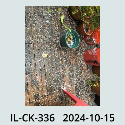 Hail Obs Photo