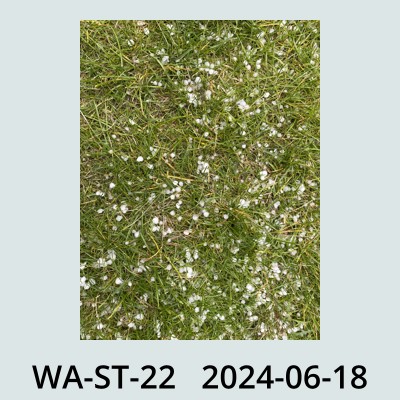 Hail Obs Photo