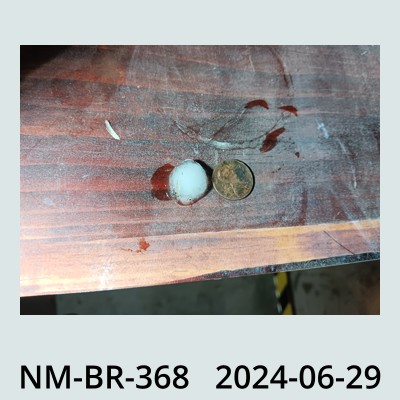Hail Obs Photo