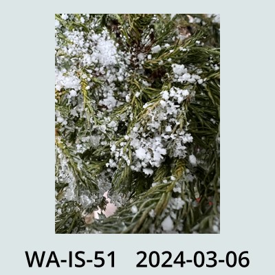 Hail Obs Photo