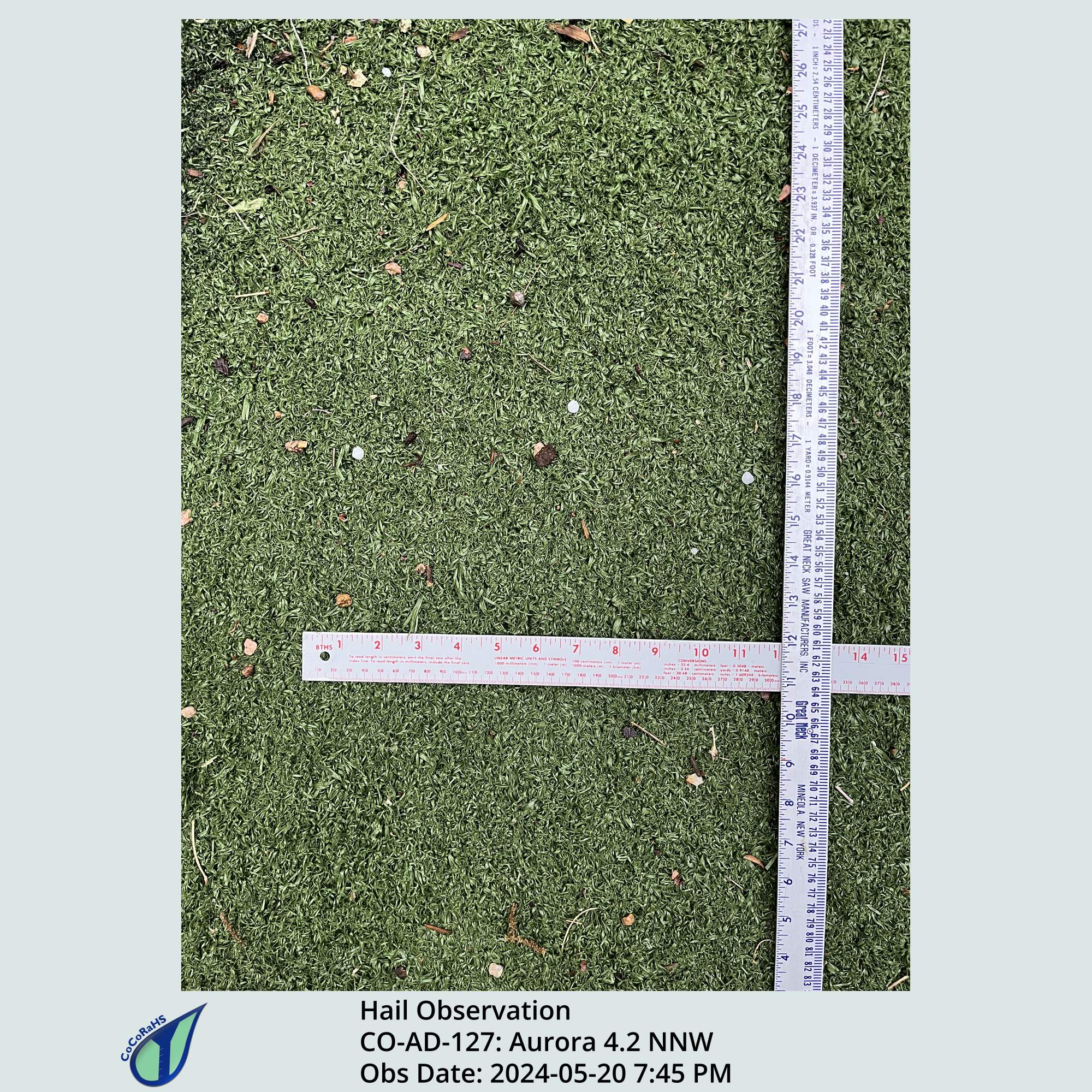 Full size version of the thumbnail.