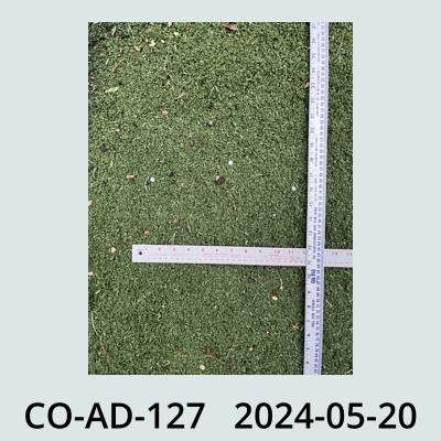 Hail Obs Photo