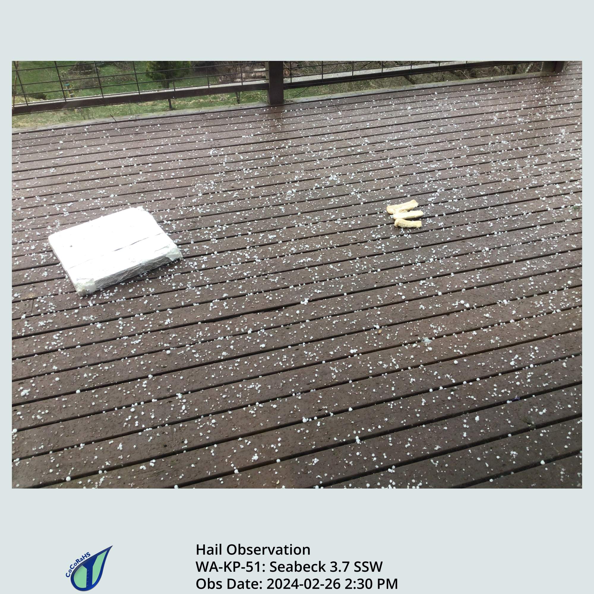 Full size version of the thumbnail.