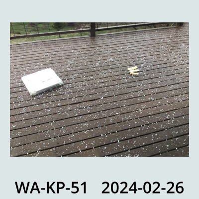 Hail Obs Photo