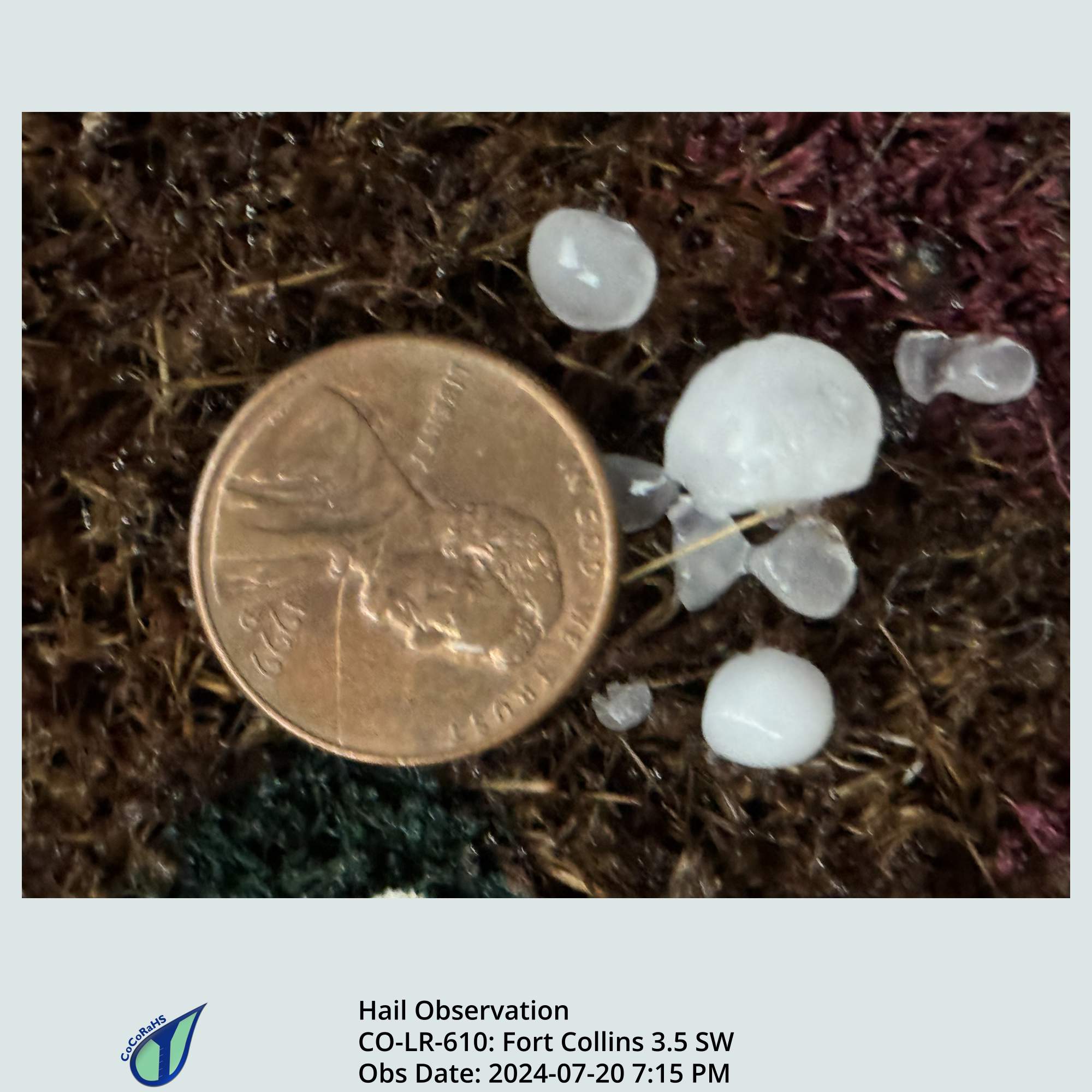 Full size version of the thumbnail.