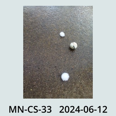 Hail Obs Photo