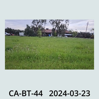 Hail Obs Photo