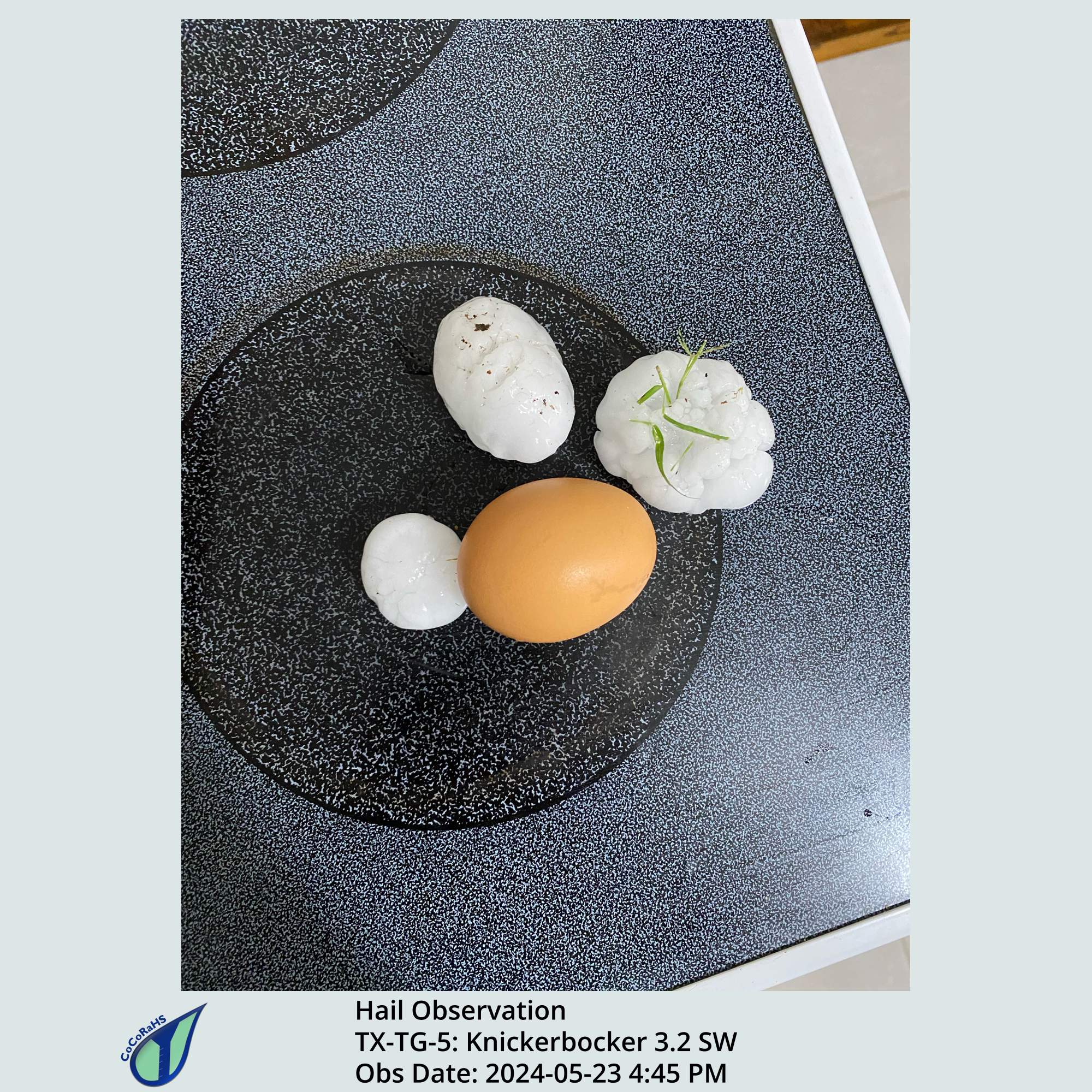 Full size version of the thumbnail.