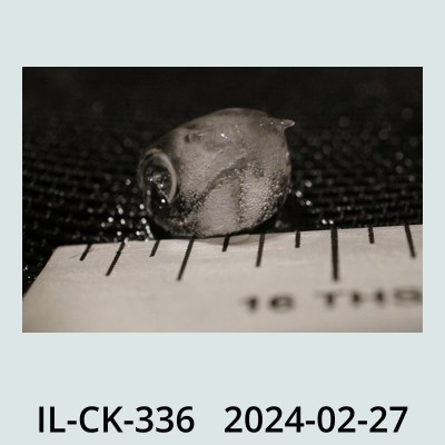 Hail Obs Photo