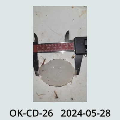 Hail Obs Photo