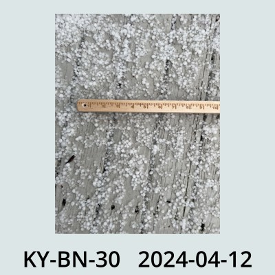 Hail Obs Photo
