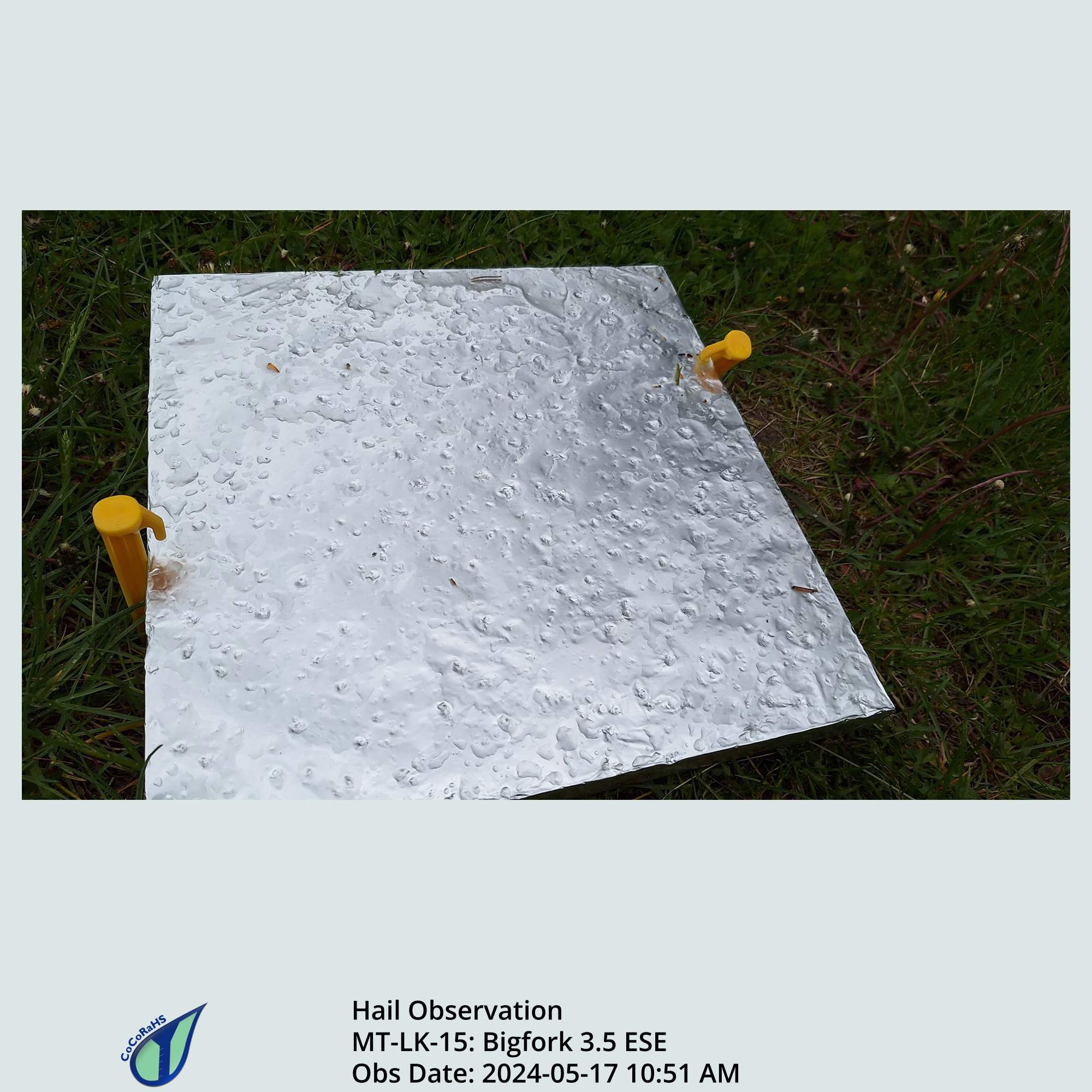 Full size version of the thumbnail.