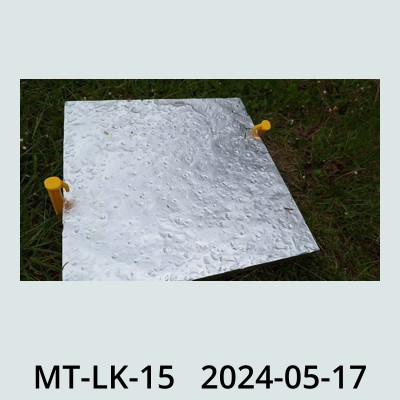 Hail Obs Photo