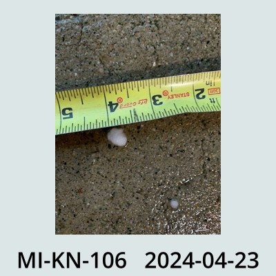 Hail Obs Photo