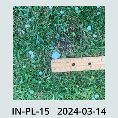 Hail Obs Photo