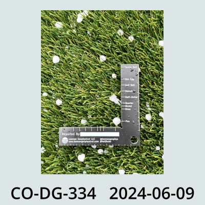 Hail Obs Photo