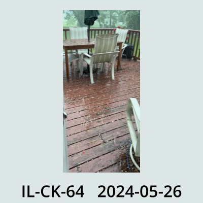 Hail Obs Photo