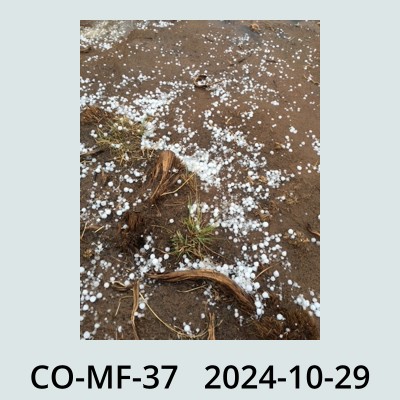Hail Obs Photo