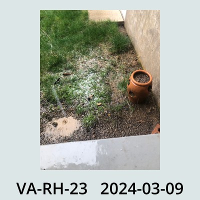 Hail Obs Photo