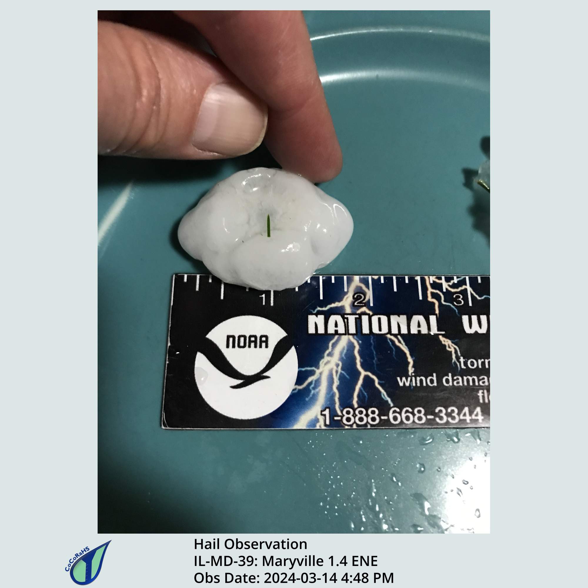 Full size version of the thumbnail.