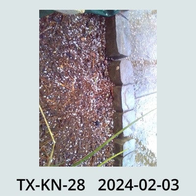 Hail Obs Photo