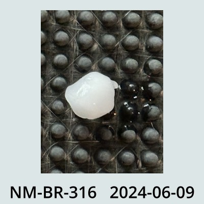 Hail Obs Photo
