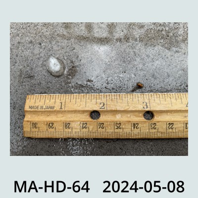 Hail Obs Photo
