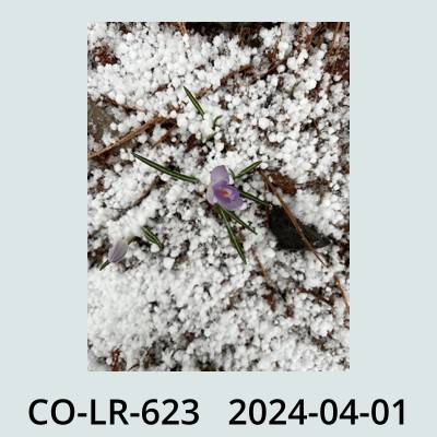 Hail Obs Photo
