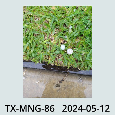 Hail Obs Photo