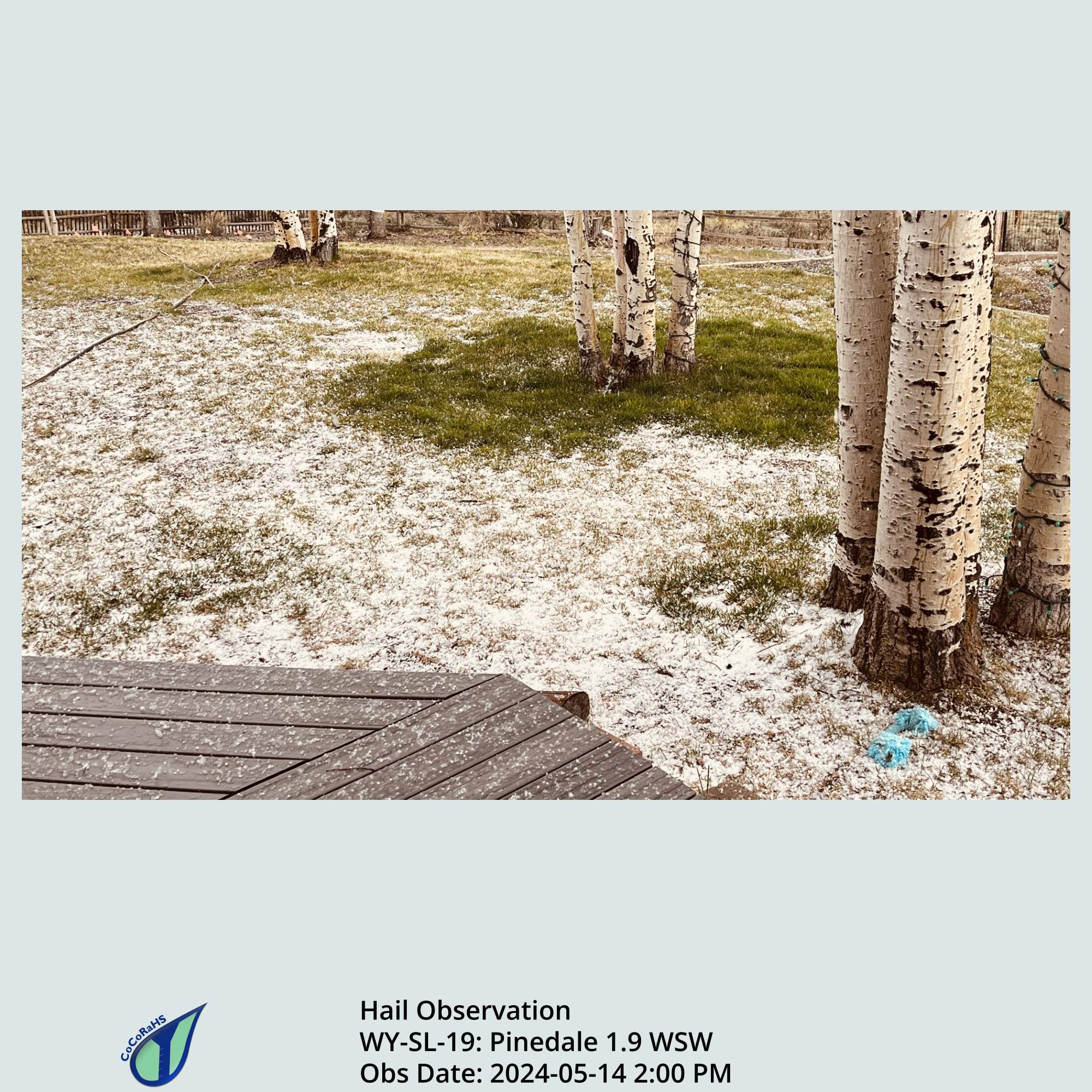 Full size version of the thumbnail.