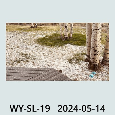 Hail Obs Photo