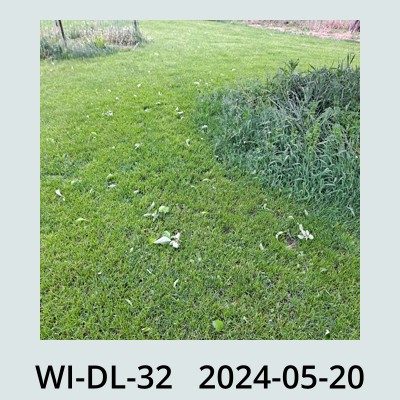 Hail Obs Photo