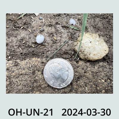 Hail Obs Photo