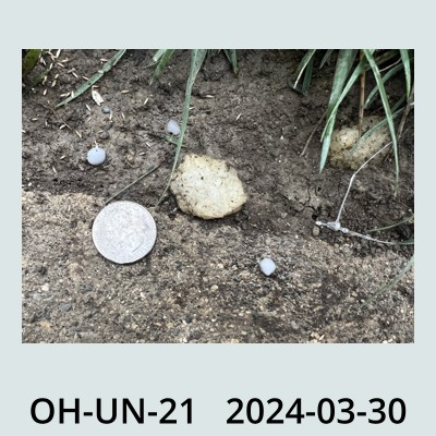 Hail Obs Photo