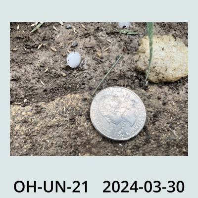 Hail Obs Photo