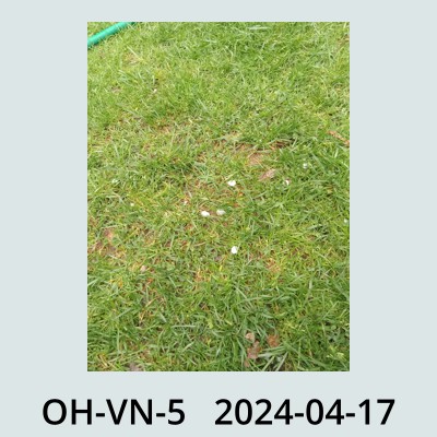 Hail Obs Photo