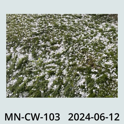 Hail Obs Photo