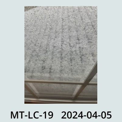 Hail Obs Photo