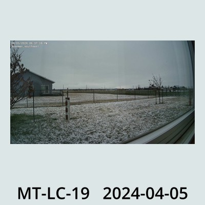Hail Obs Photo