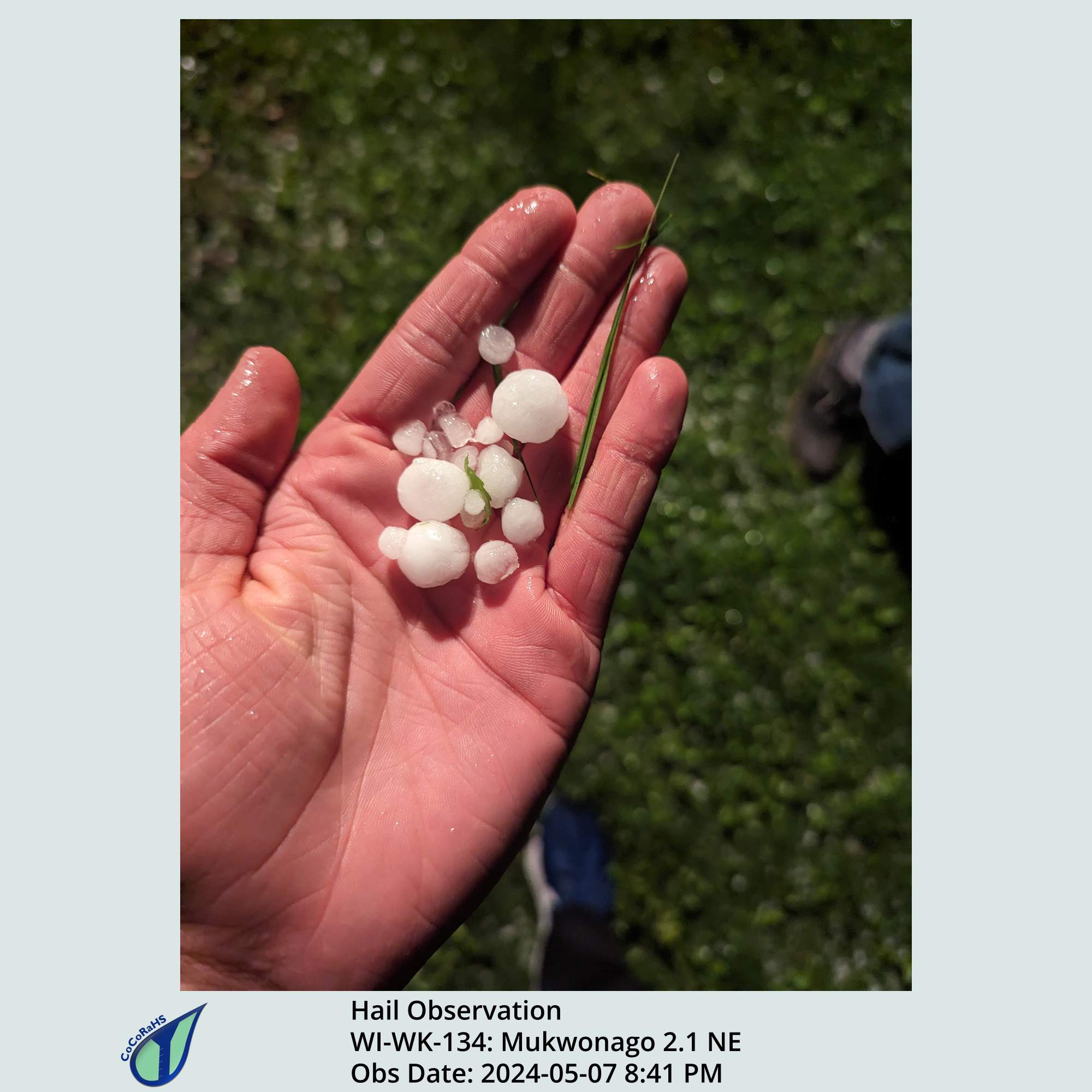 Full size version of the thumbnail.