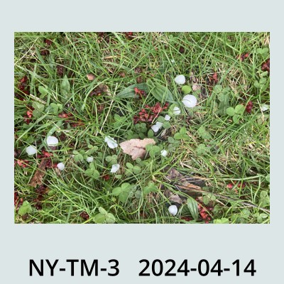 Hail Obs Photo