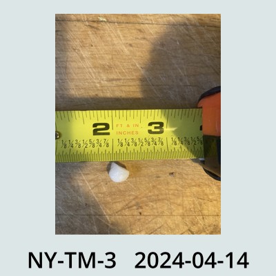 Hail Obs Photo